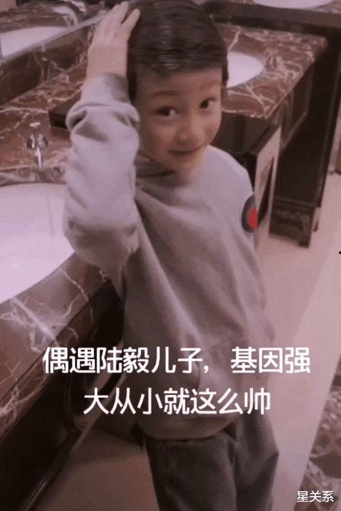 鲍蕾爆料陆毅视频