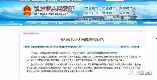 芒果都市新闻线索爆料台,聚焦民生热点,助力社会和谐 第2张 芒果都市新闻线索爆料台,聚焦民生热点,助力社会和谐 第2张