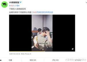 元芳爆料视频大全集播放,揭秘幕后真相，带你领略网络风云