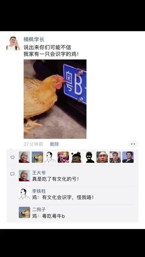 搞笑爆料神评视频,笑到肚子疼！