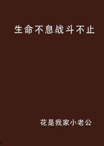 生命不止爆料不息原版视频,揭秘原版视频背后的故事 第2张 生命不止爆料不息原版视频,揭秘原版视频背后的故事 第2张
