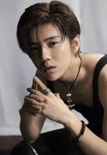 王大锤爆料鹿晗视频大全,鹿晗视频大全幕后故事大曝光