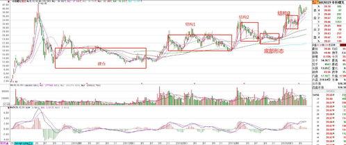 中科曙光爆料最新消息视频,揭秘科技巨头最新动态 第2张 中科曙光爆料最新消息视频,揭秘科技巨头最新动态 第2张