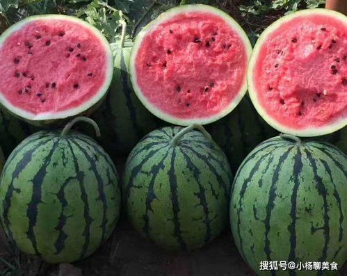 好哥吃瓜团长小说免费阅读,团长小说免费阅读,揭秘神秘世界 第2张 好哥吃瓜团长小说免费阅读,团长小说免费阅读,揭秘神秘世界 第2张