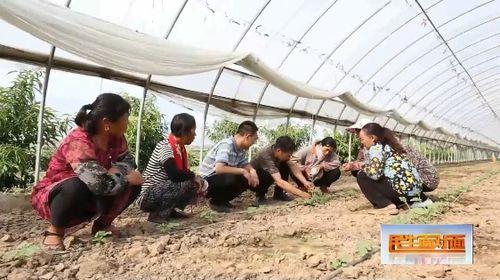 好哥吃瓜团长小说免费阅读,团长小说免费阅读,揭秘神秘世界 第3张 好哥吃瓜团长小说免费阅读,团长小说免费阅读,揭秘神秘世界 第3张