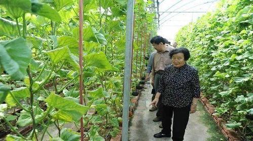 吃瓜网站在线免费,吃瓜网站带你领略明星幕后故事  第3张