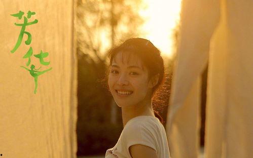 芳华电影在线观看,重温青春岁月，共赴时代芳华之旅