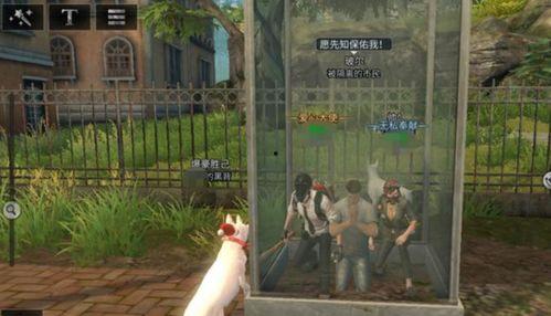 半感染者最新爆料视频,揭秘病毒潜伏期惊人真相 第3张 半感染者最新爆料视频,揭秘病毒潜伏期惊人真相 第3张