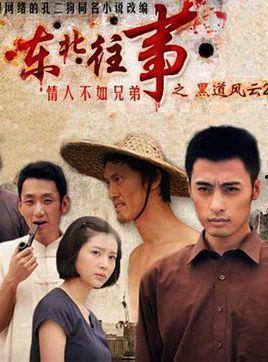 在线观看东北往事,热血青春的岁月印记