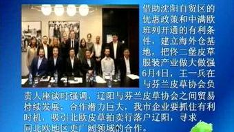 最新辽阳爆料新闻事件,神秘事件引发社会关注