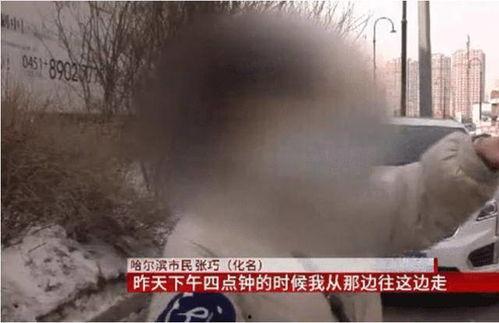 黑龙江男子爆料视频曝光,揭露惊人真相！  第3张