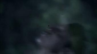 风影在线观看,揭秘神秘江湖，探寻武侠世界传奇