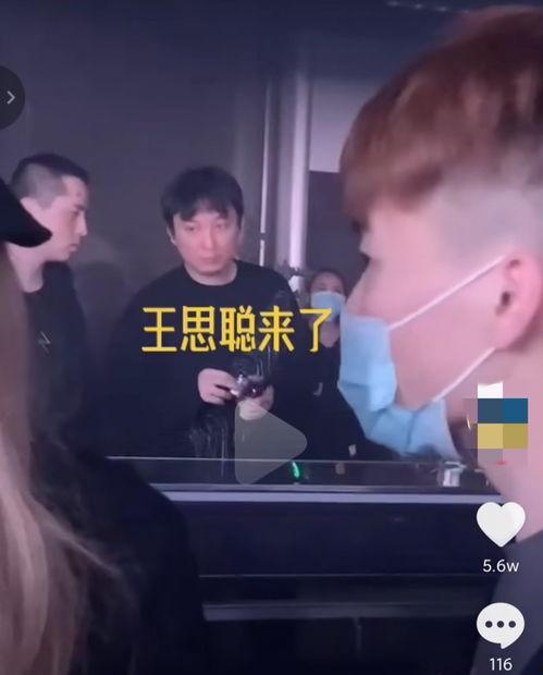 王思聪的爆料合集视频,揭秘娱乐圈背后的真相与内幕