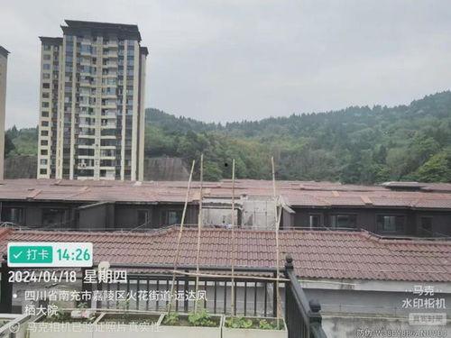 南充嘉陵区最新爆料,揭秘区域发展新动态 第2张 南充嘉陵区最新爆料,揭秘区域发展新动态 第2张