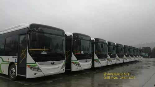 营山公交车最新爆料,最新爆料揭示线路调整与优化