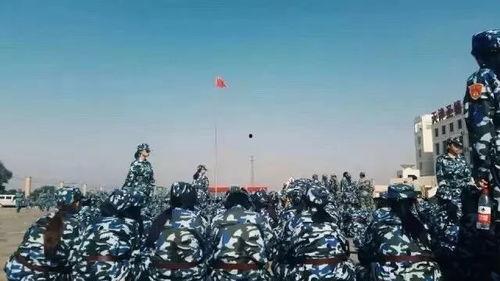 美术学院爆料事件视频曝光,揭秘艺术界背后真相