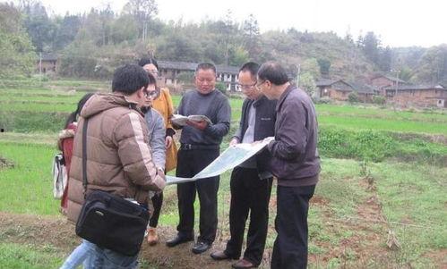 农民老张最新爆料新闻,揭秘农村新动向背后的惊人真相! 第3张 农民老张最新爆料新闻,揭秘农村新动向背后的惊人真相! 第3张