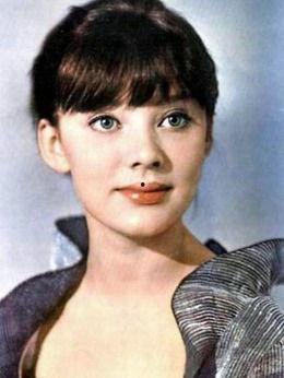 刘大锤爆料张姓艺人视频,真相背后引人深思